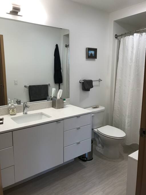 Large bathroom with shower and bath