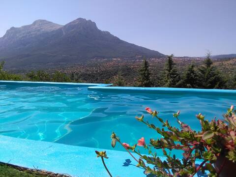 Villa L'Oleandro with swimming pool and A/C
