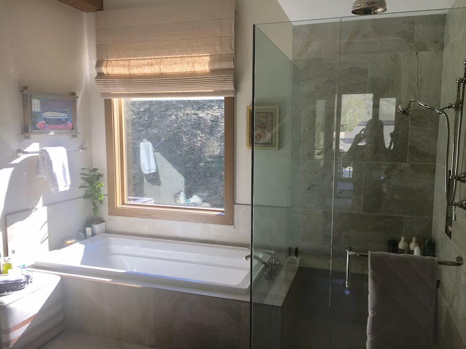 Bath Tub and Shower in master bath.