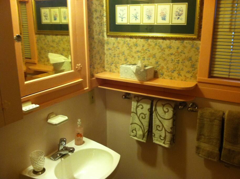 Downstairs Bathroom