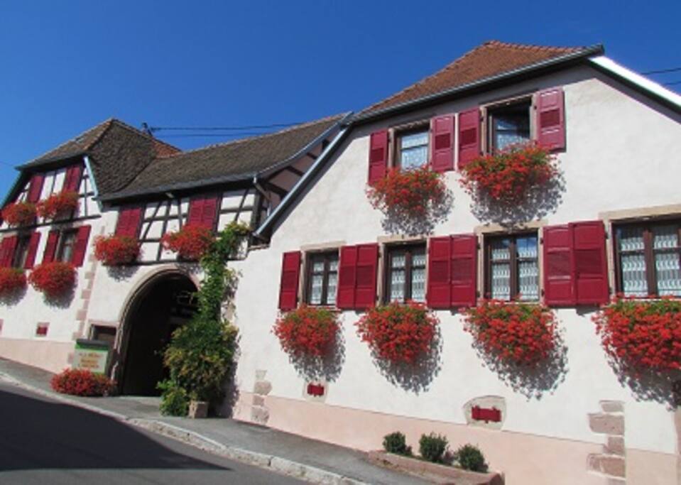 Domaine viticole