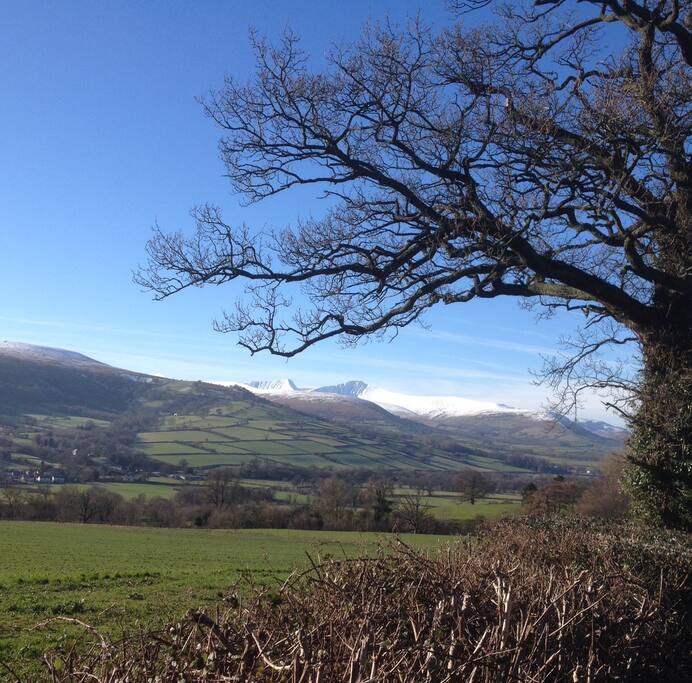 The local landscape is stunning !