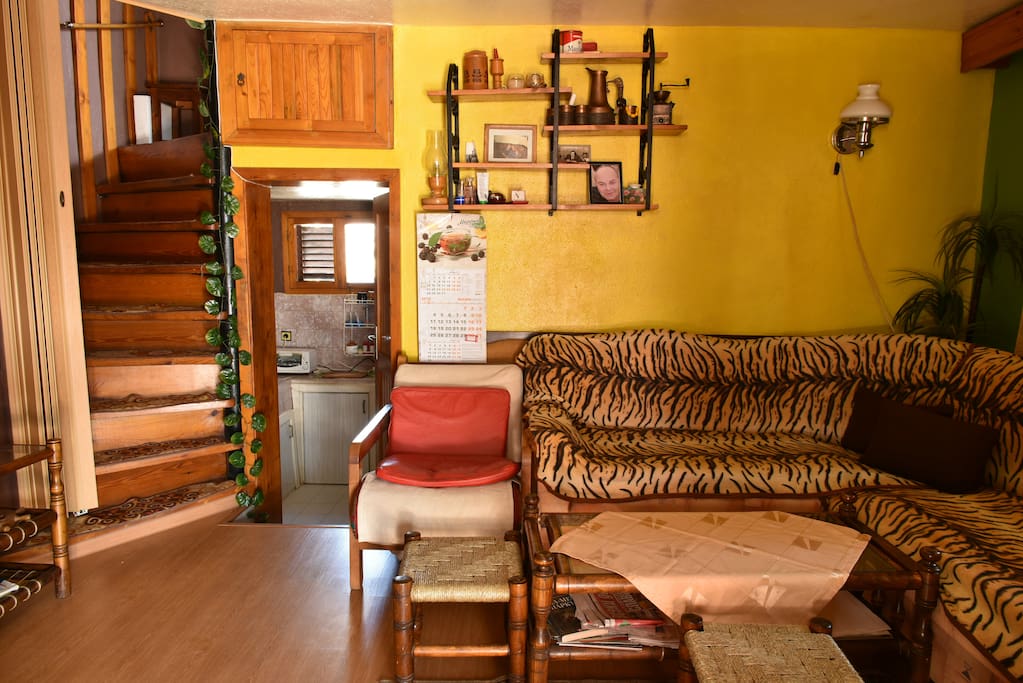 living room (sofa bed)