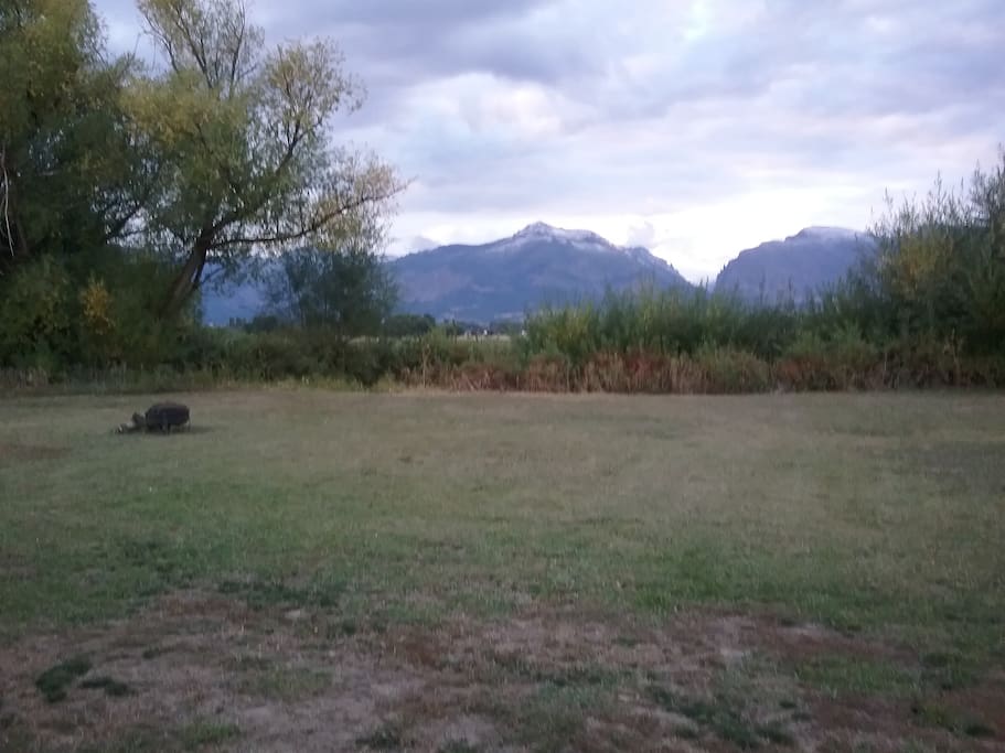 Enjoy the fire pit with peace & serenity