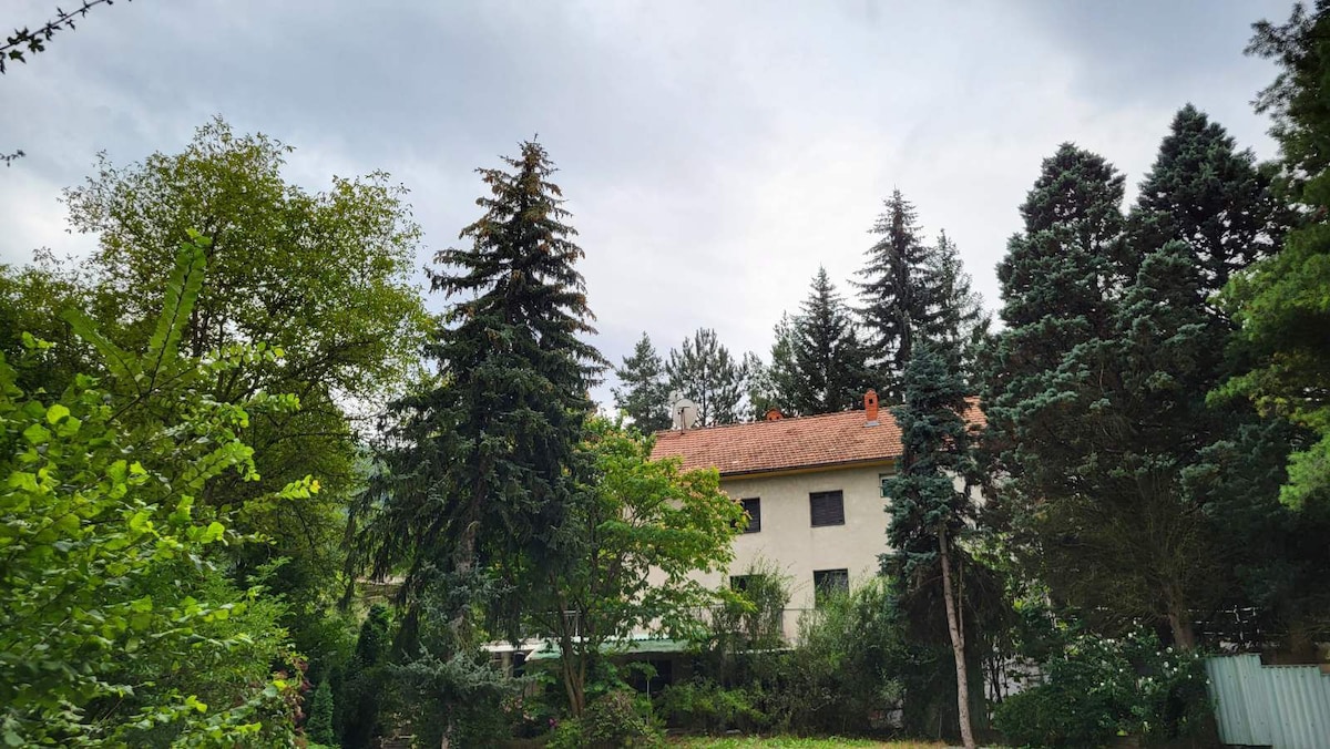 A serene outdoor view features a spacious, two-story building surrounded by a variety of tall trees and lush greenery. The soft gray sky provides a gentle backdrop, enhancing the natural atmosphere of the location.