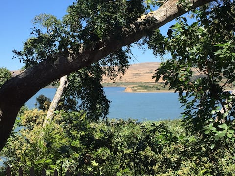 Peaceful, Sunny, Contemporary Retreat on the Bluff