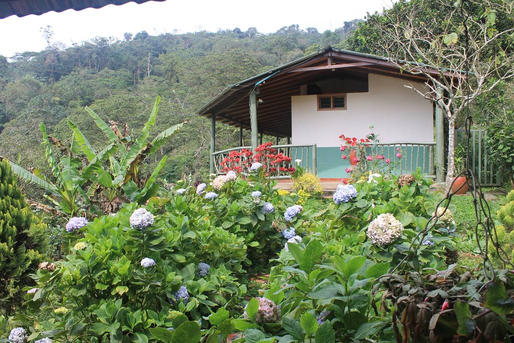 Jardines y vista desde BBQ