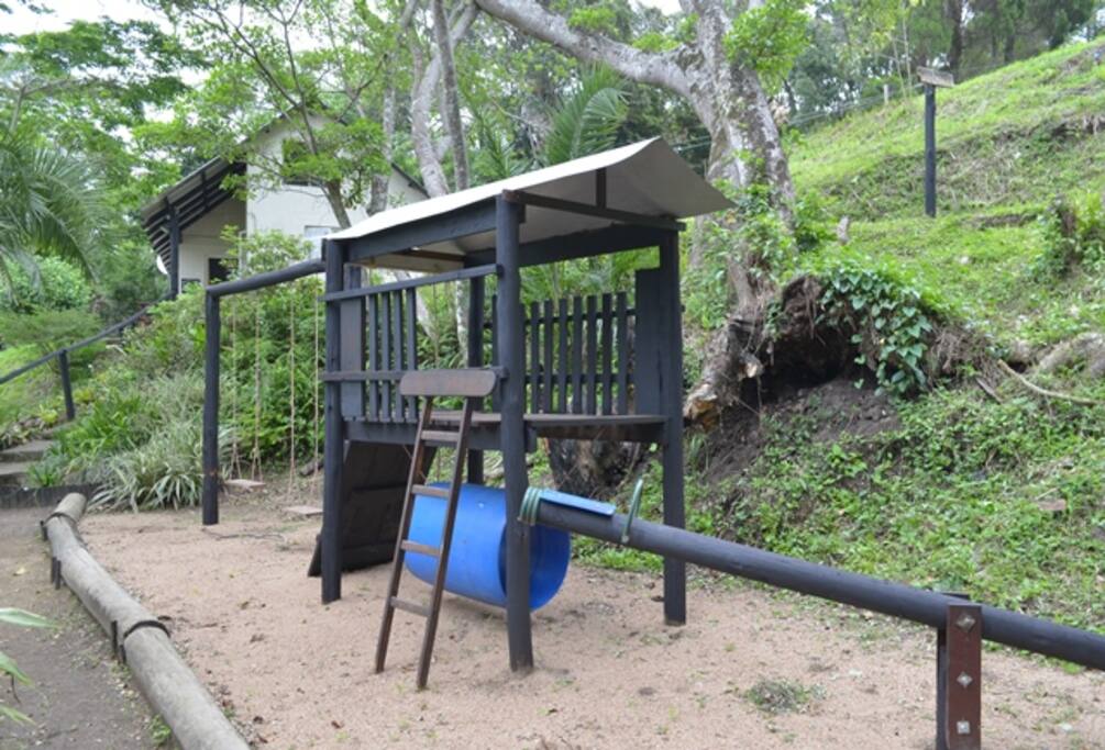 Jungle Gym