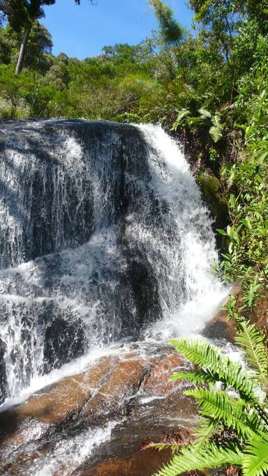 cachoeira No 01