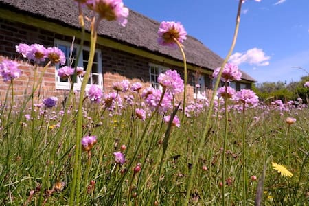 A rustic old farmhouse near a beach