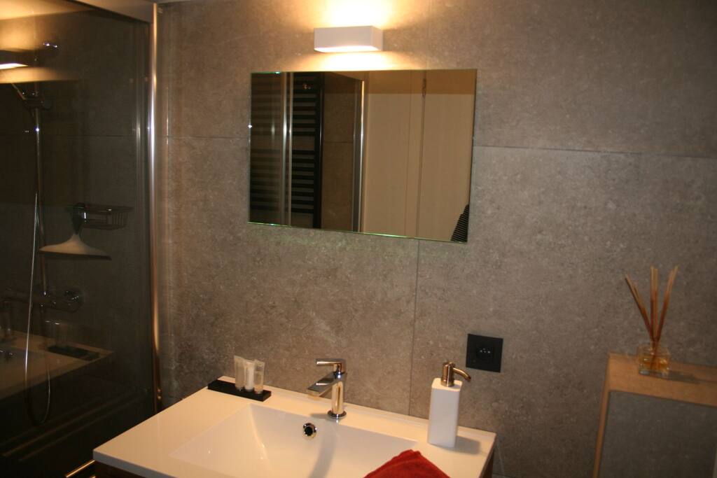 bath room with luxe rain shower