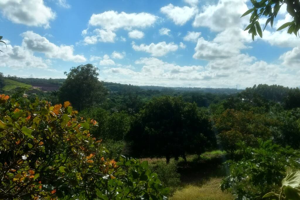 vista panorâmica