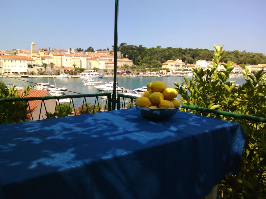 View from terasse and homegrown lemons