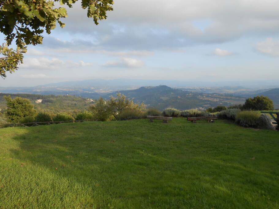 Ecco il panorama che offriamo