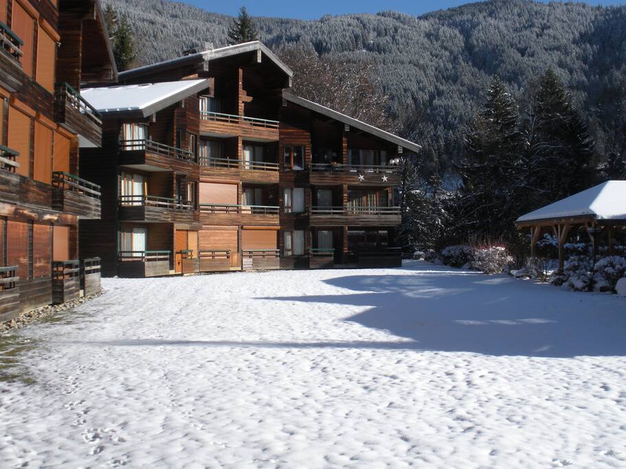 The gardens in winter