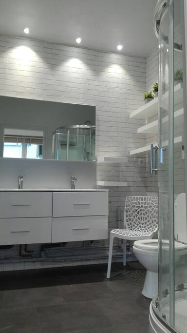 La salle de bain avec douche et wc