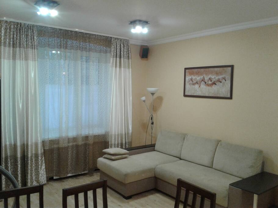 room 24 sq.m. with a sofa bed