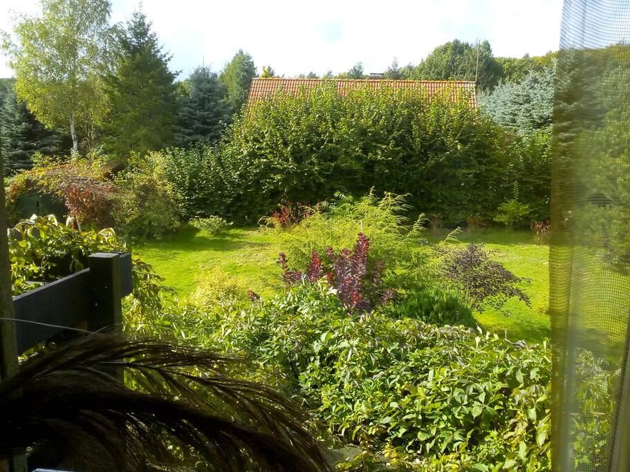 Widok z Twojego pokoju na ogród / View from your bedroom for a garden