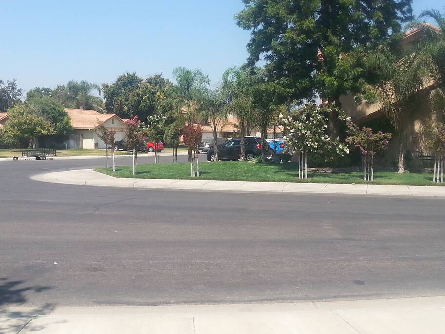 The neighborhood