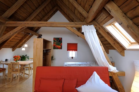 Leistungsstarkes Airbnb: "Delivery" in Bamberg, Gartenstraße 5 in Bamberg