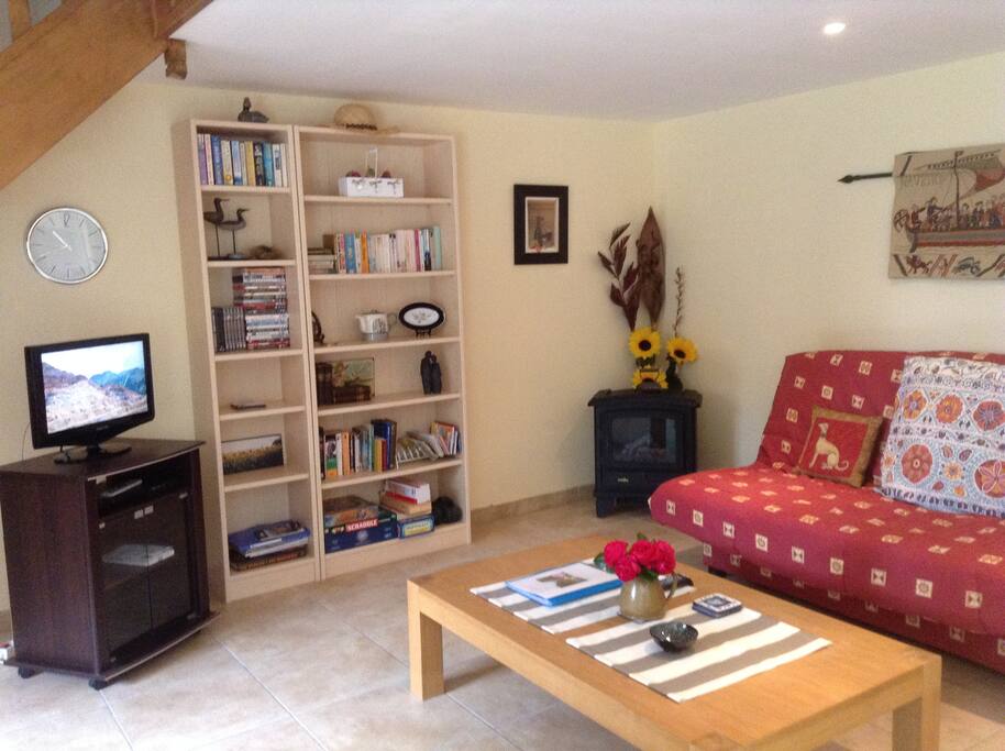 Books, games, Drench tv, DVD player.