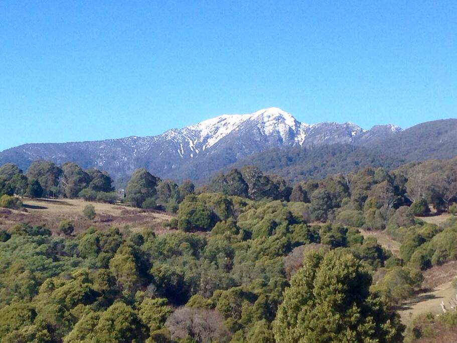 Mt Buller snow