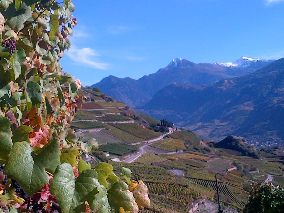 Herbst im Rhonetal bei Sion