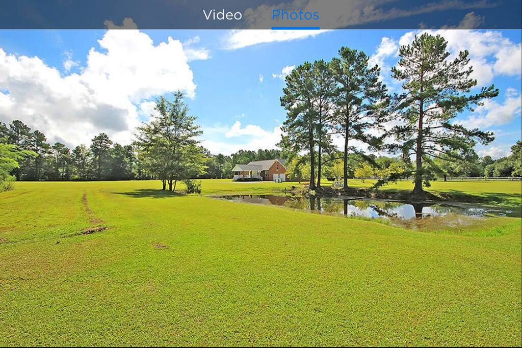 Pond on property, bring your fishing pole!