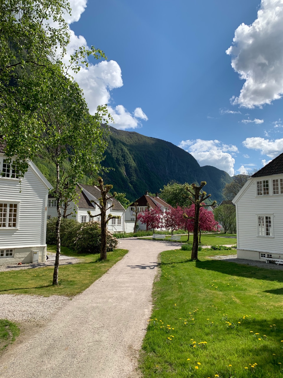 A charming pathway meanders through a scenic area lined with white buildings, characterized by well-kept gardens and blossoming trees. Lush green hills rise in the background under a clear blue sky scattered with clouds, creating a serene outdoor setting.