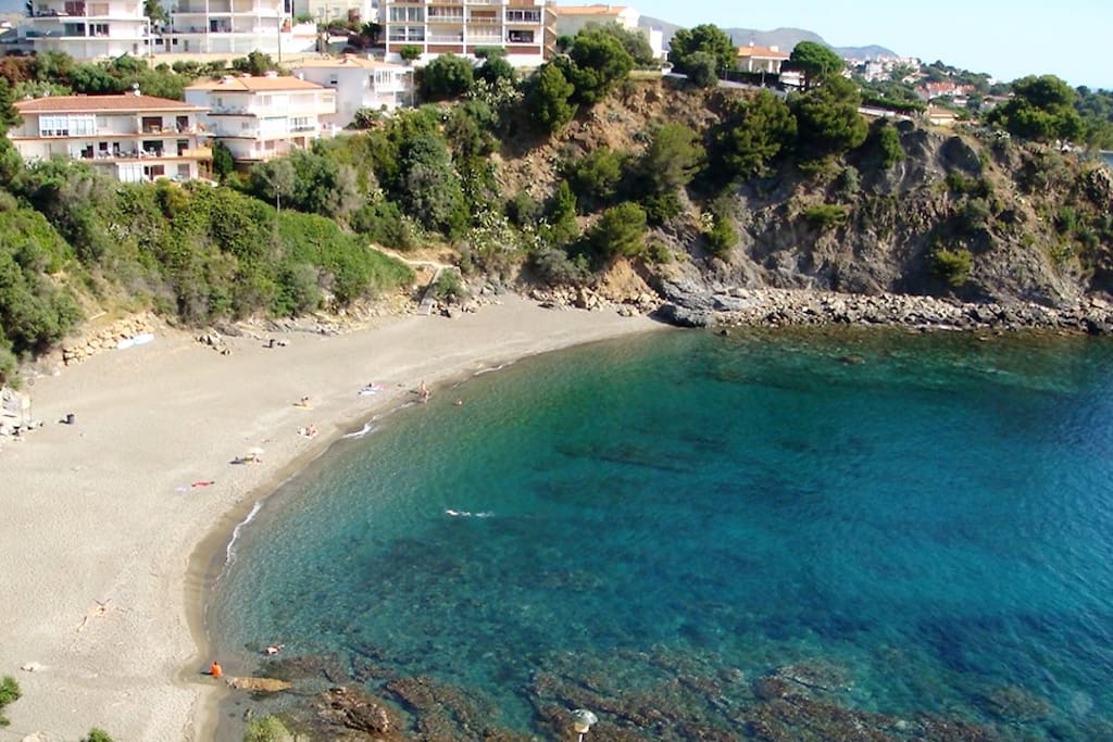nearby beach "Cau del Llop"