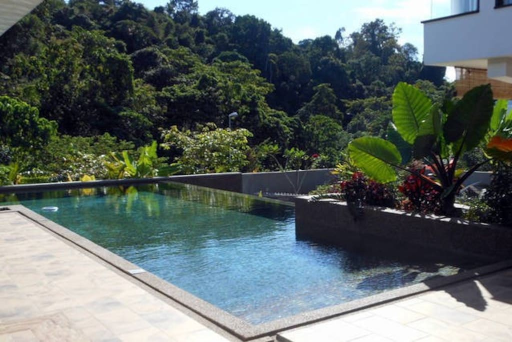 Swim any time, day or night, in our gorgeous, natural stone, tropical swimming pool.