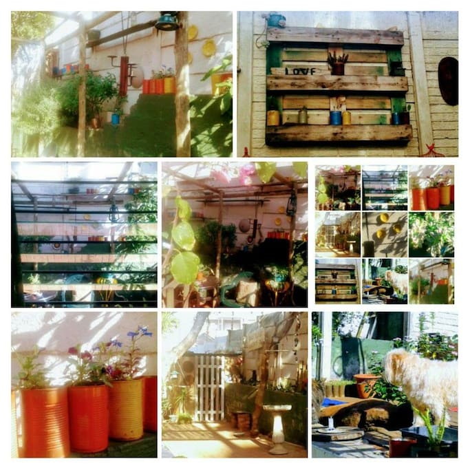 My gardens my canvas