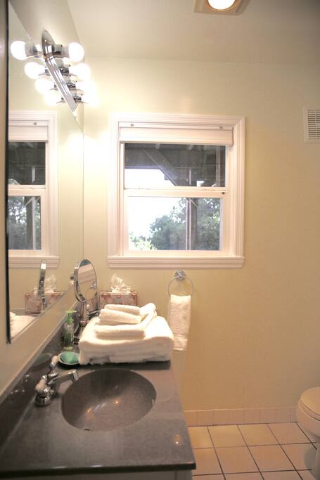 Bathroom (picture #1)