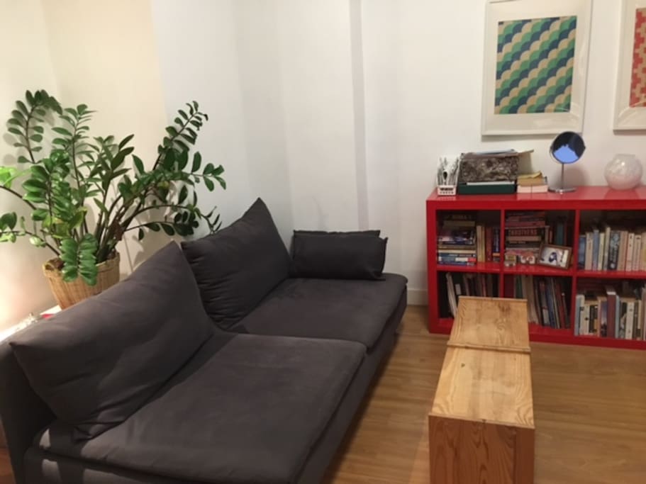 Couch, wide enough for sleeping