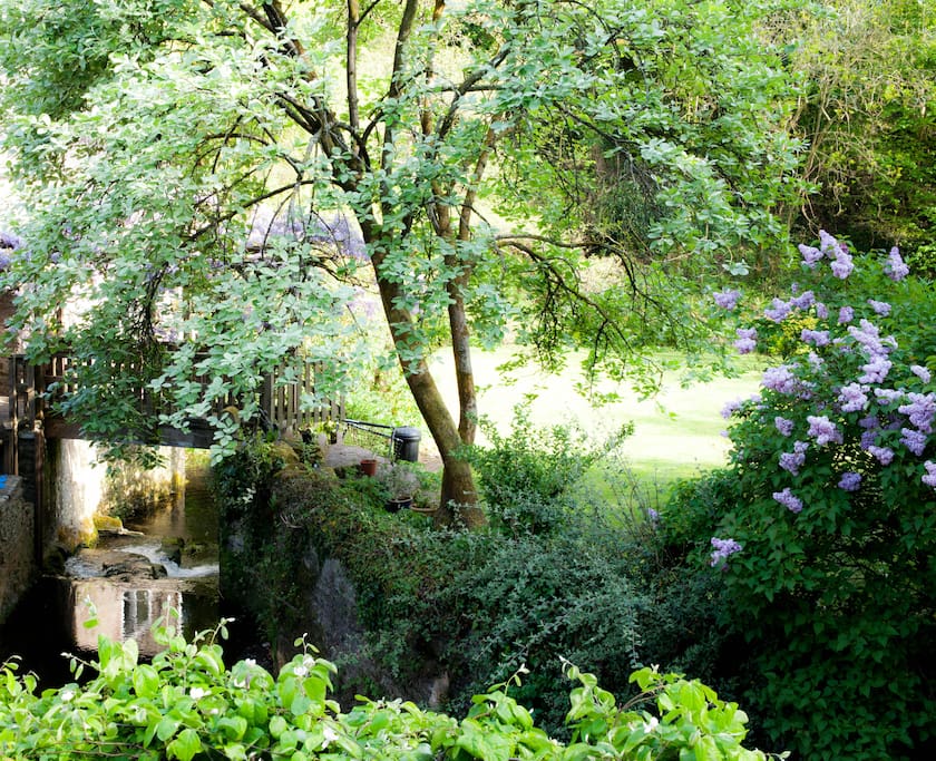 Stream view from cottage garden