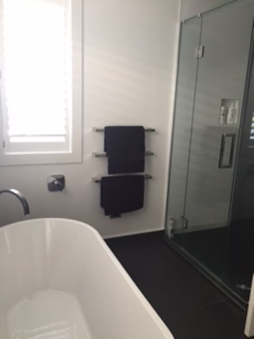 Bathroom - Bath, shower, double sink.