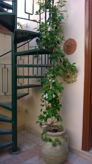 patio interno