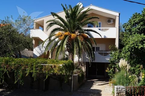 Apartments Nikolina II