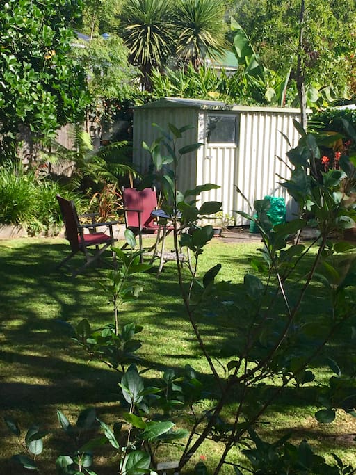 View from studio