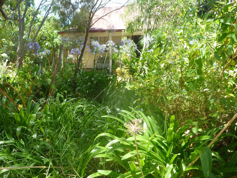 Front of cottage