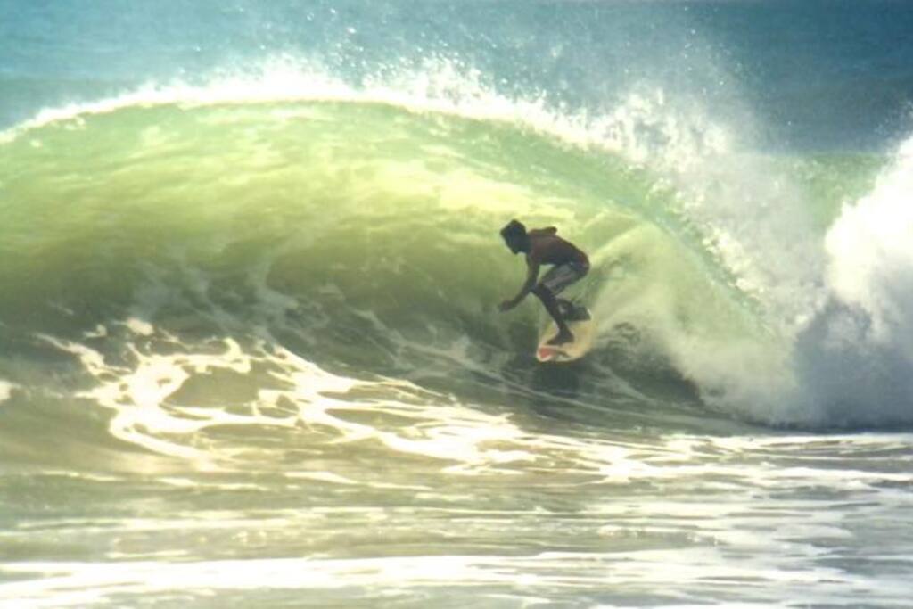 enjoying surfing in main point