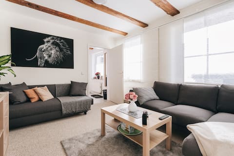 Dresden Vacation Rentals Homes Saxony Germany Airbnb