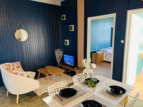 Completely renovated & cozy 2 bedroom in the heart of Oyonnax