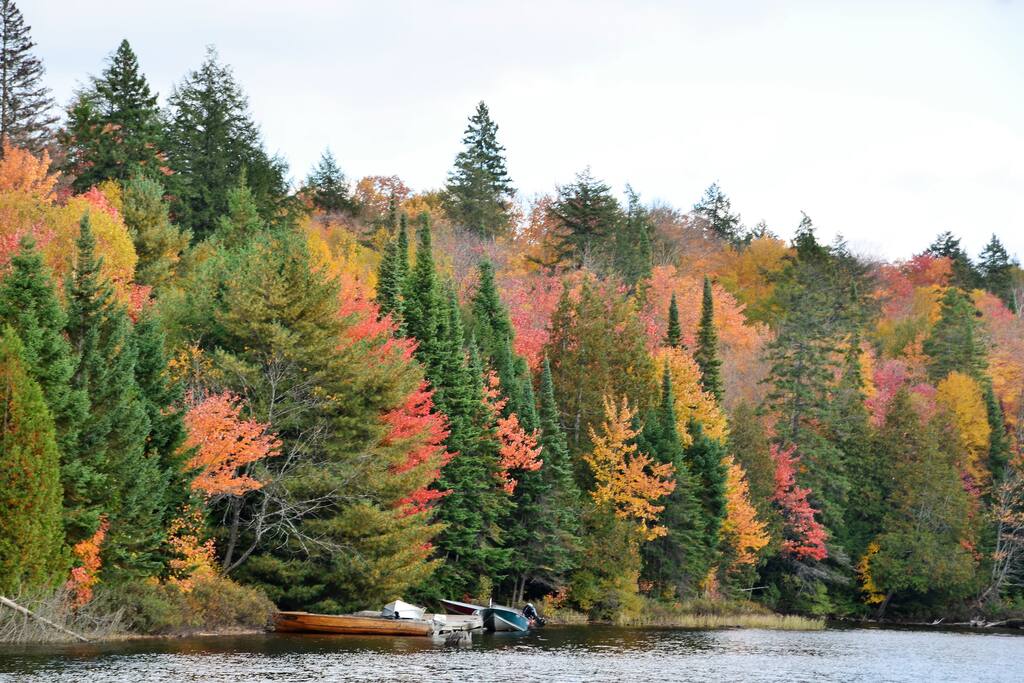 The colours in October