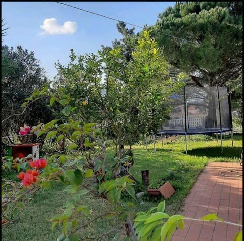 Small slice of paradise surrounded by greenery