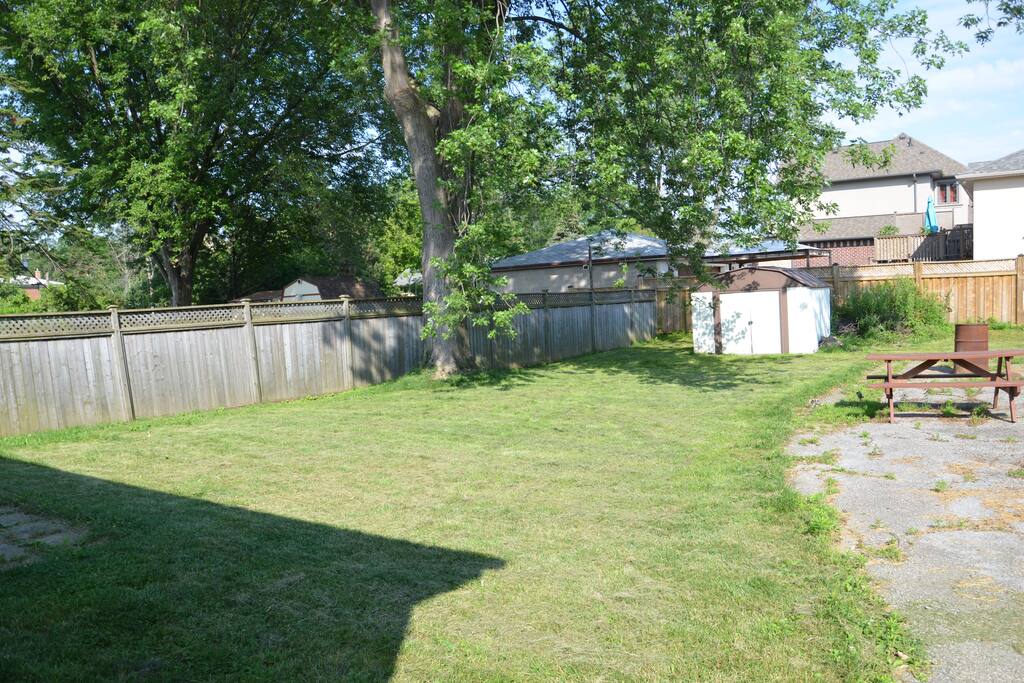 Back Yard