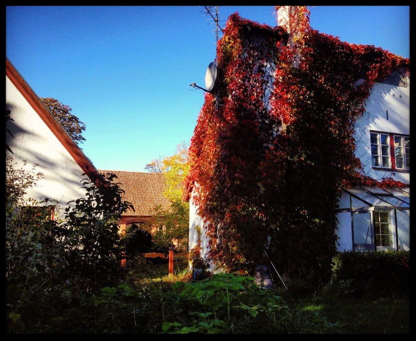 The fall has arrived and the wild wine slowly turns Guesthouse red.