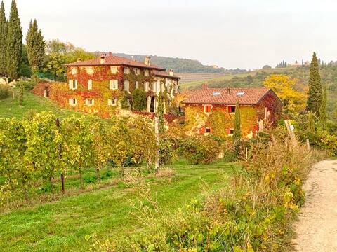CA’ DEL BUSO