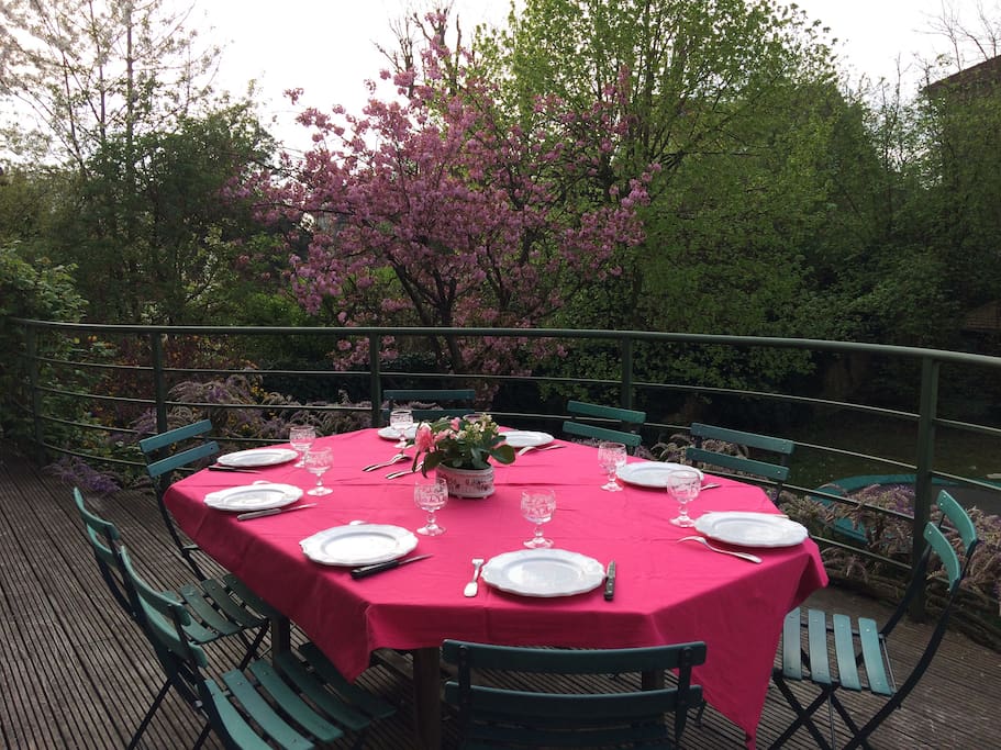terrasse avec table sur le jardin , exposée au sud