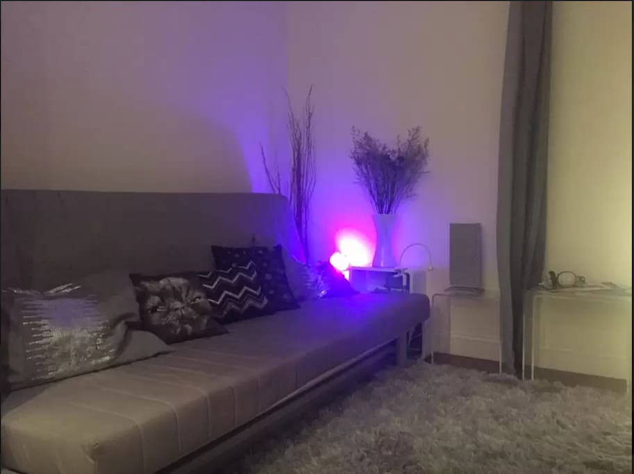 Super comfortable sofa-bed that converts into full size. Lots of pillows to prop your sleep and a convenient reading lamp! You can create a private space by using heavy curtains, so you won't see me when i'm passing by to bathroom/exit (and if you are in headphones, you won't hear me either:)